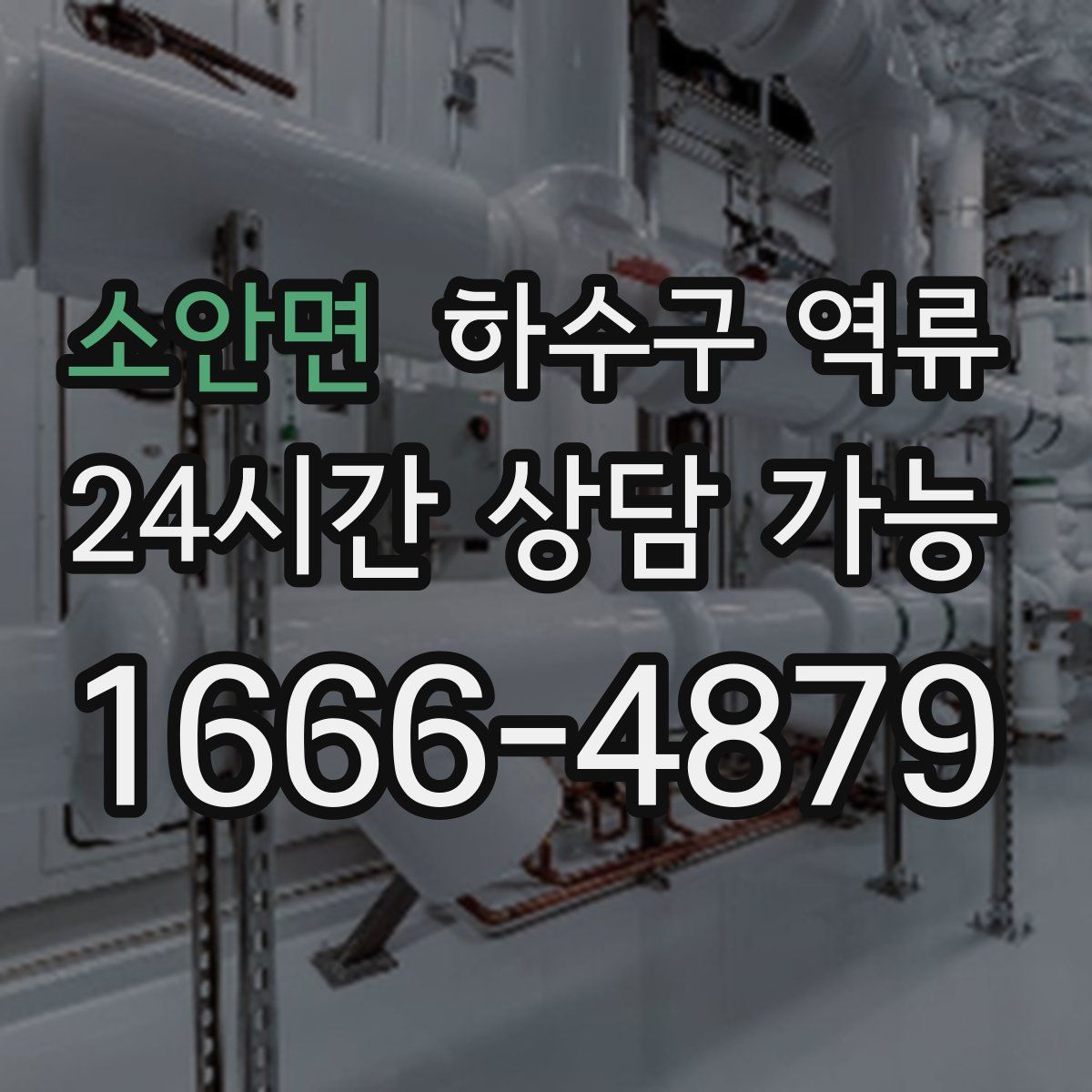 소안면 하수구 역류