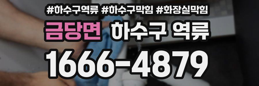 금당면 하수구 역류