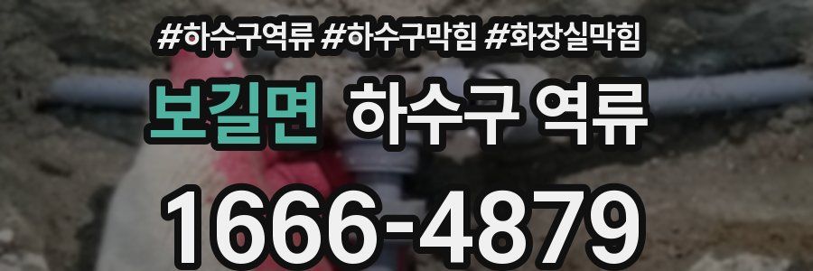 보길면 하수구 역류