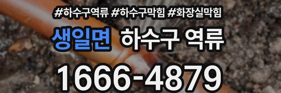 생일면 하수구 역류