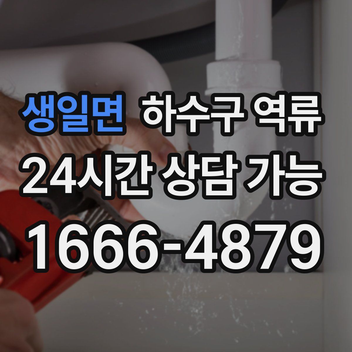 생일면 하수구 역류