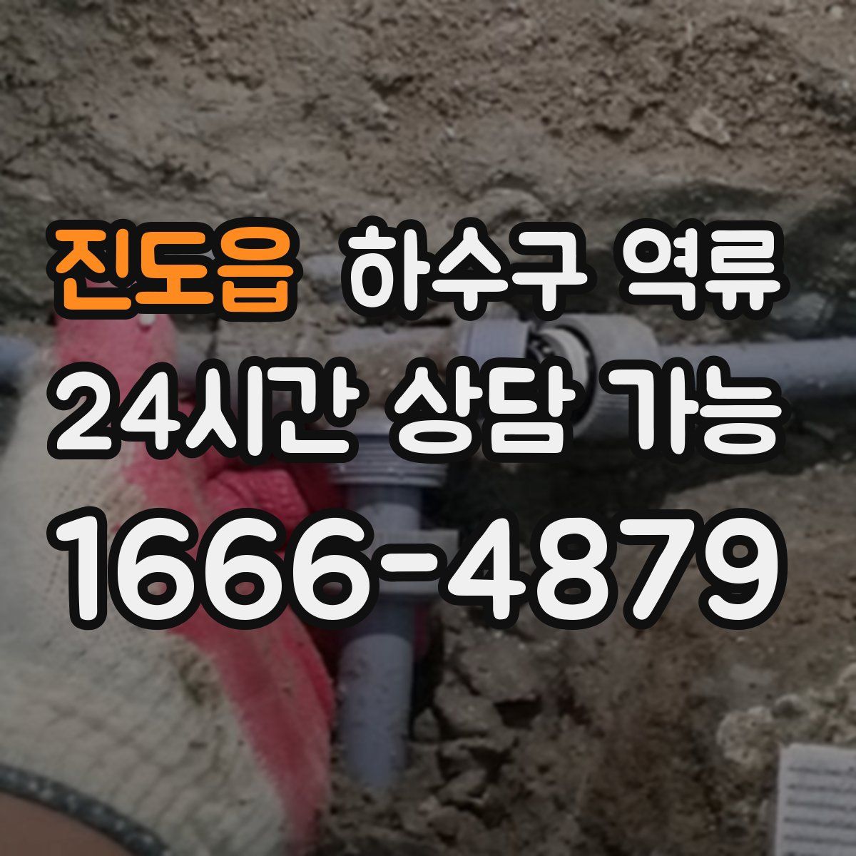 진도읍 하수구 역류