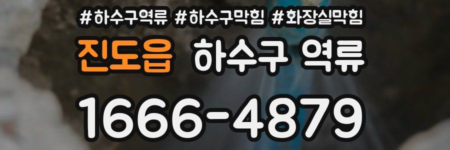 진도읍 하수구 역류