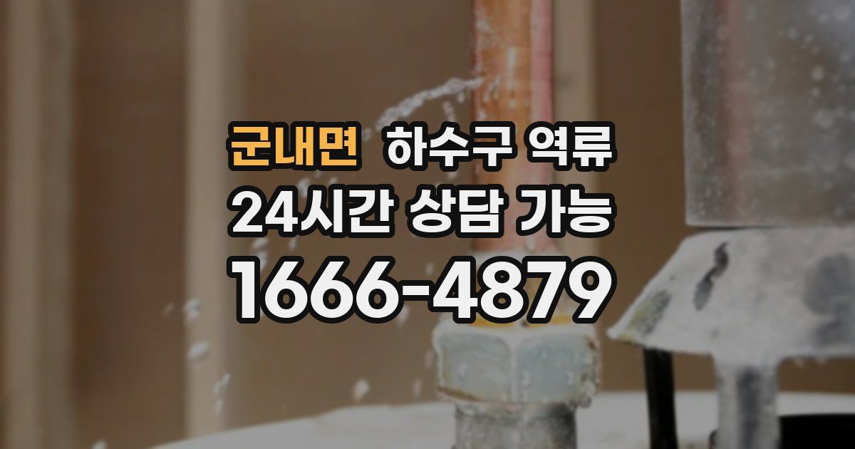 군내면 하수구 역류