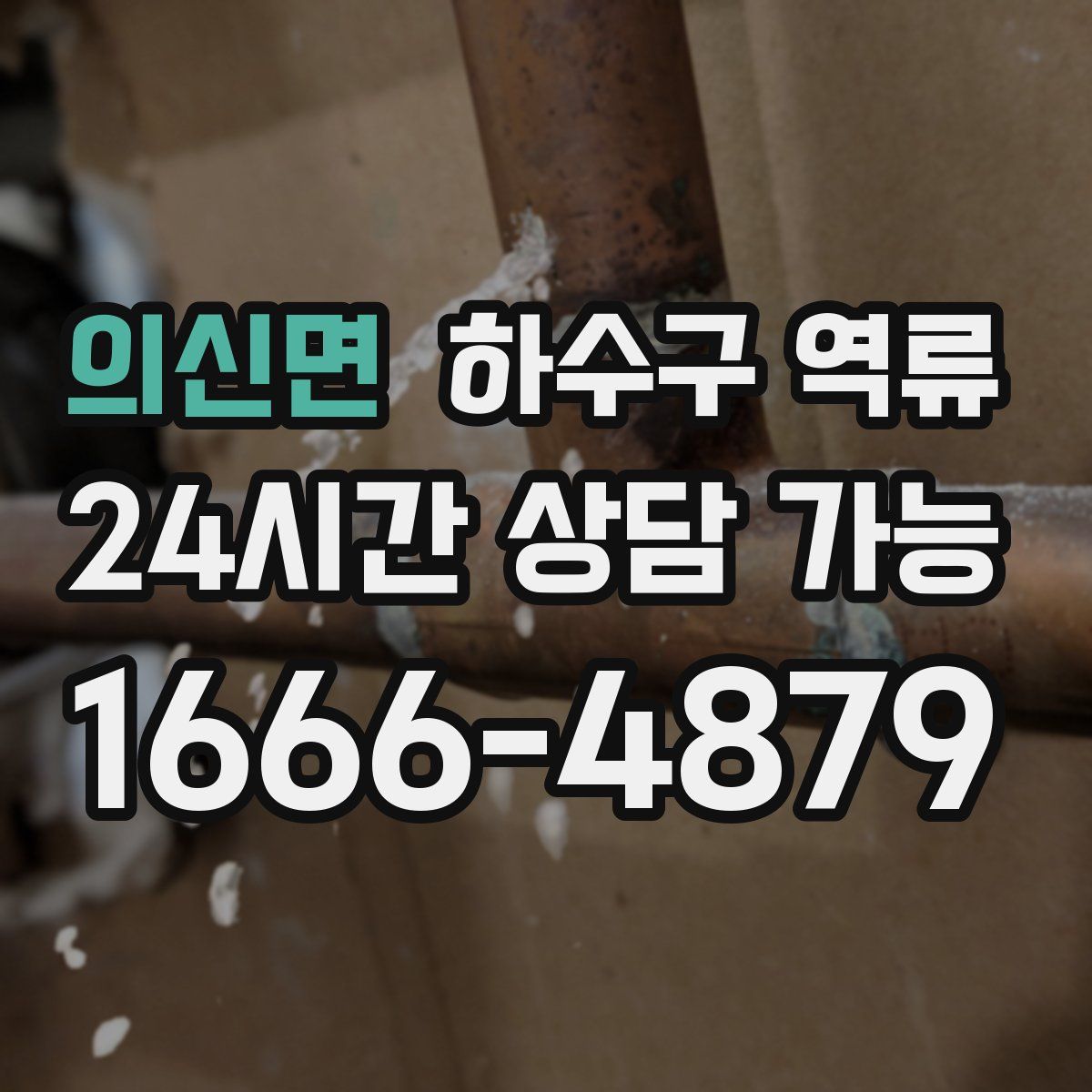 의신면 하수구 역류