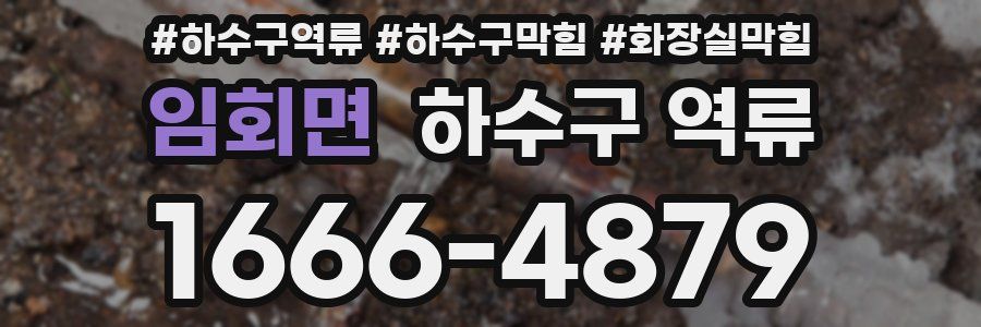 임회면 하수구 역류