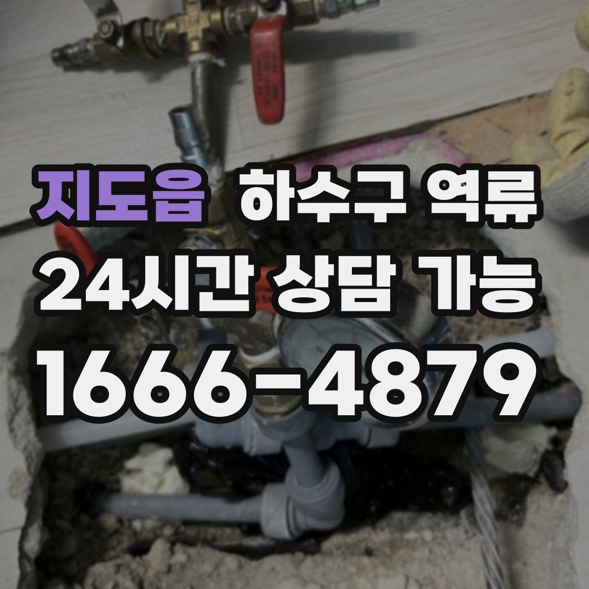 지도읍 하수구 역류