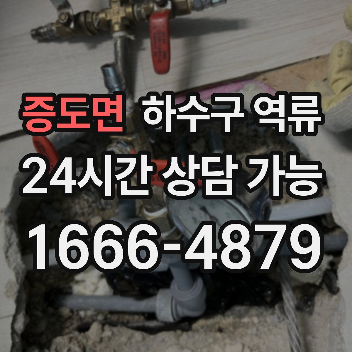 증도면 하수구 역류