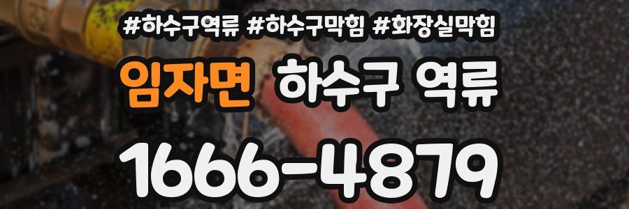 임자면 하수구 역류