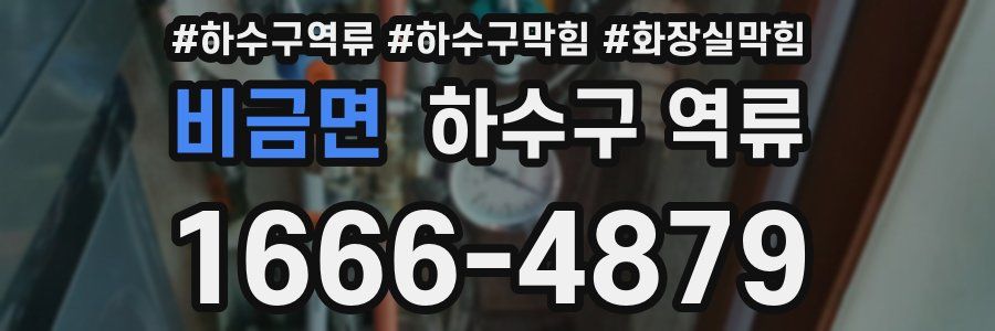 비금면 하수구 역류