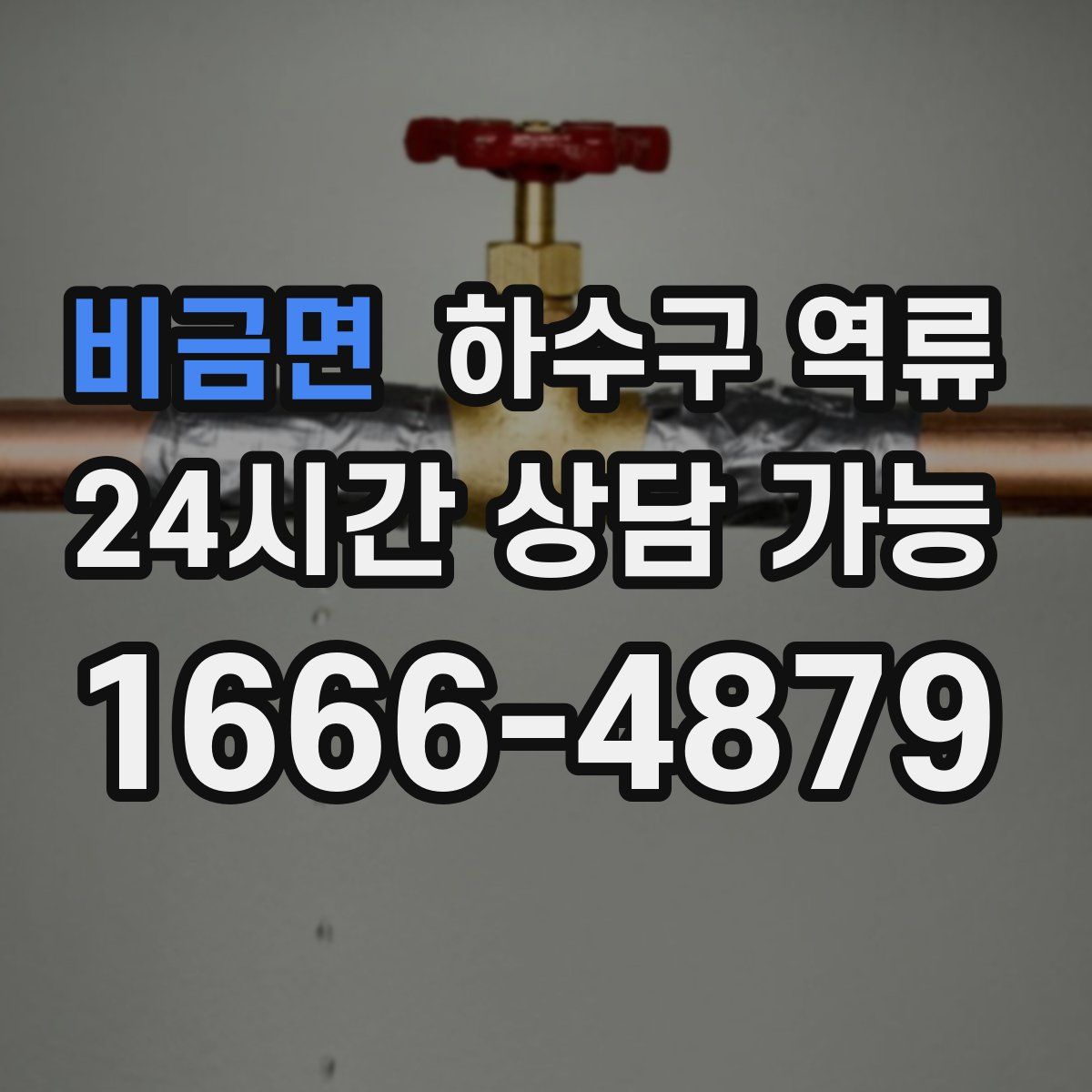 비금면 하수구 역류