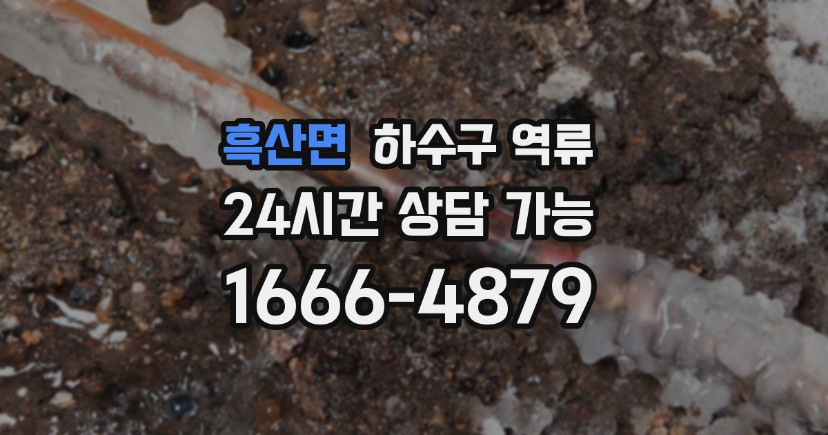 흑산면 하수구 역류