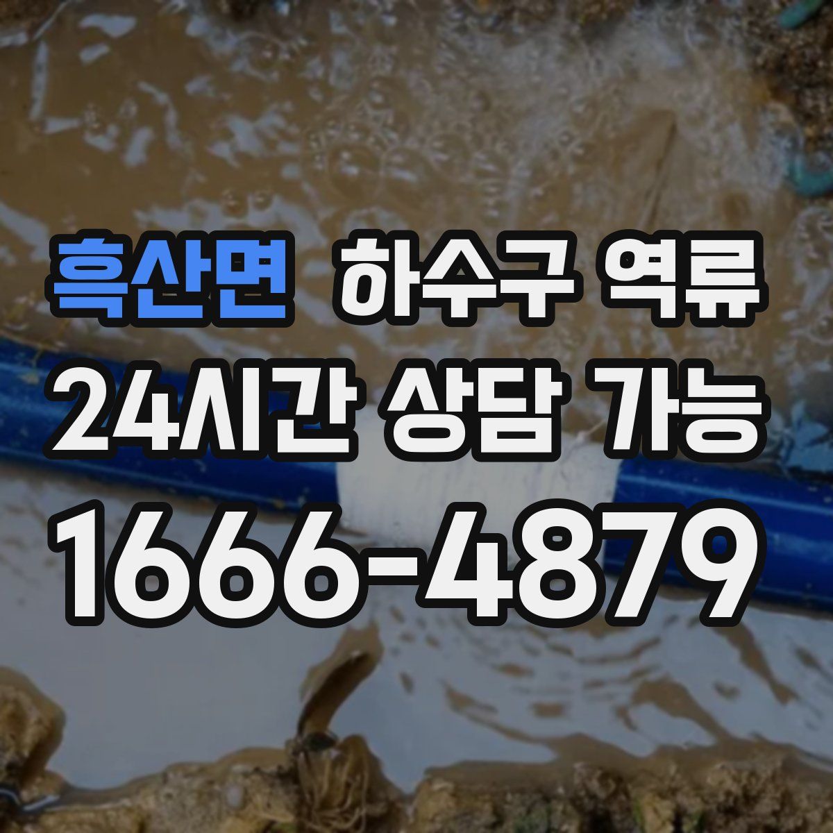 흑산면 하수구 역류