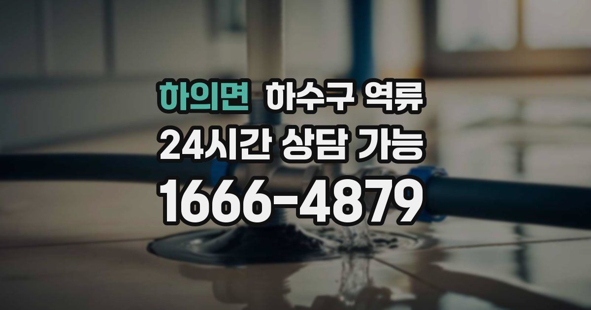 하의면 하수구 역류