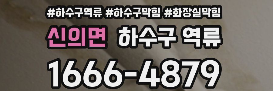 신의면 하수구 역류