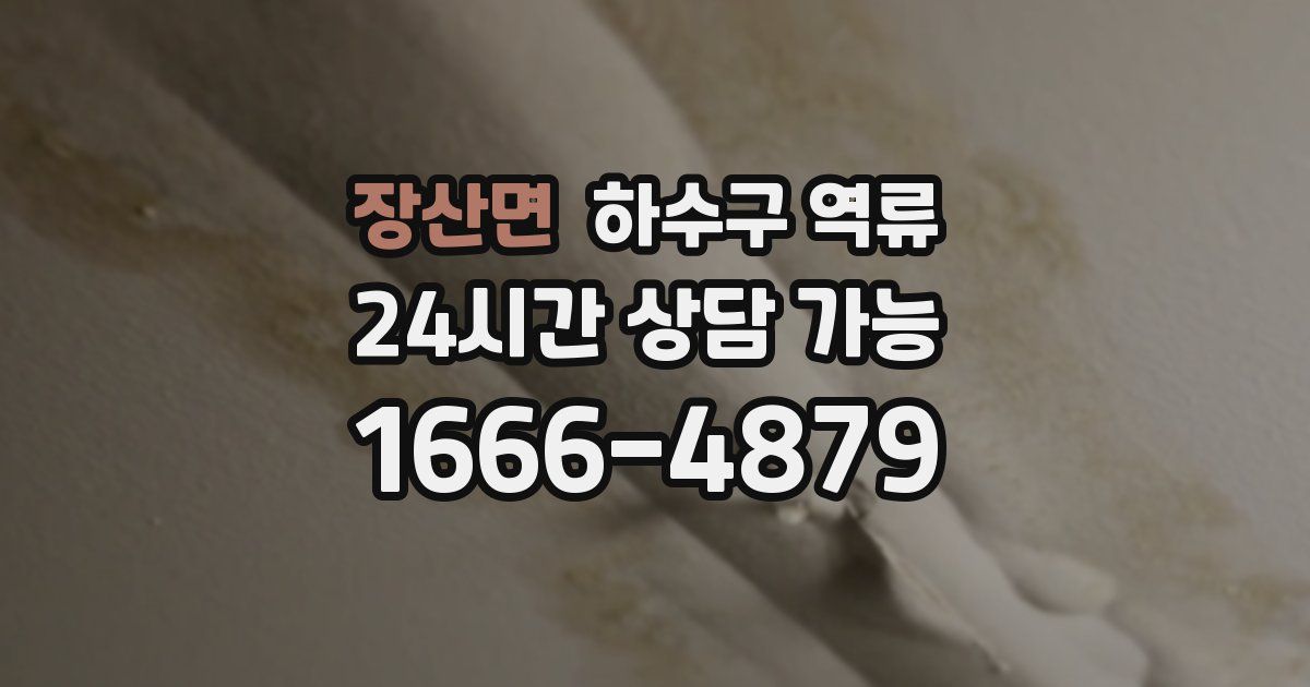 장산면 하수구 역류