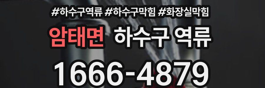 암태면 하수구 역류