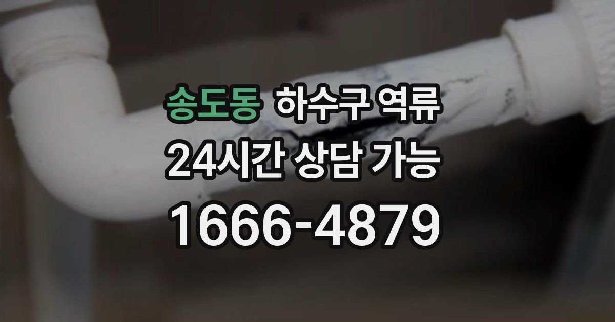 송도동 하수구 역류