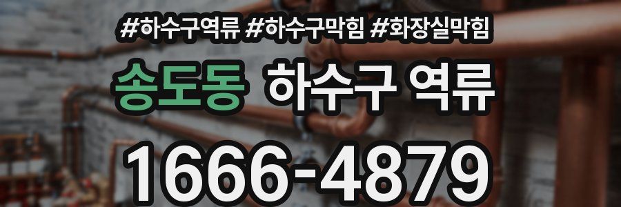 송도동 하수구 역류