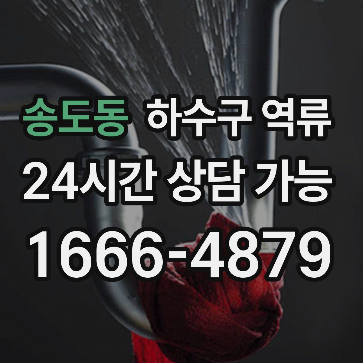 송도동 하수구 역류