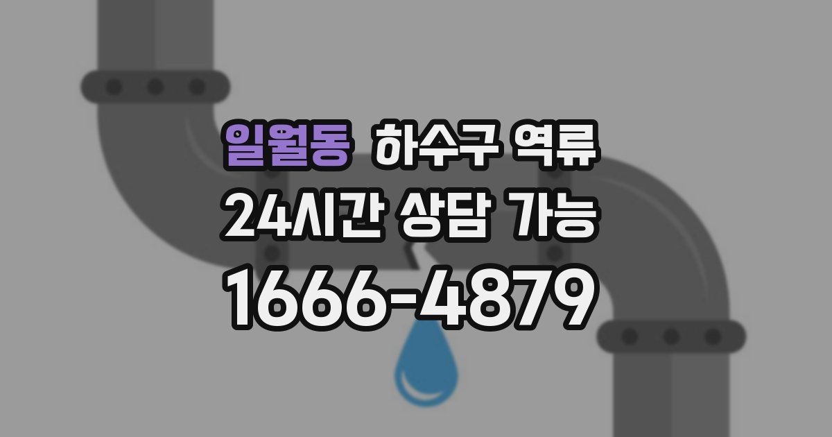 일월동 하수구 역류