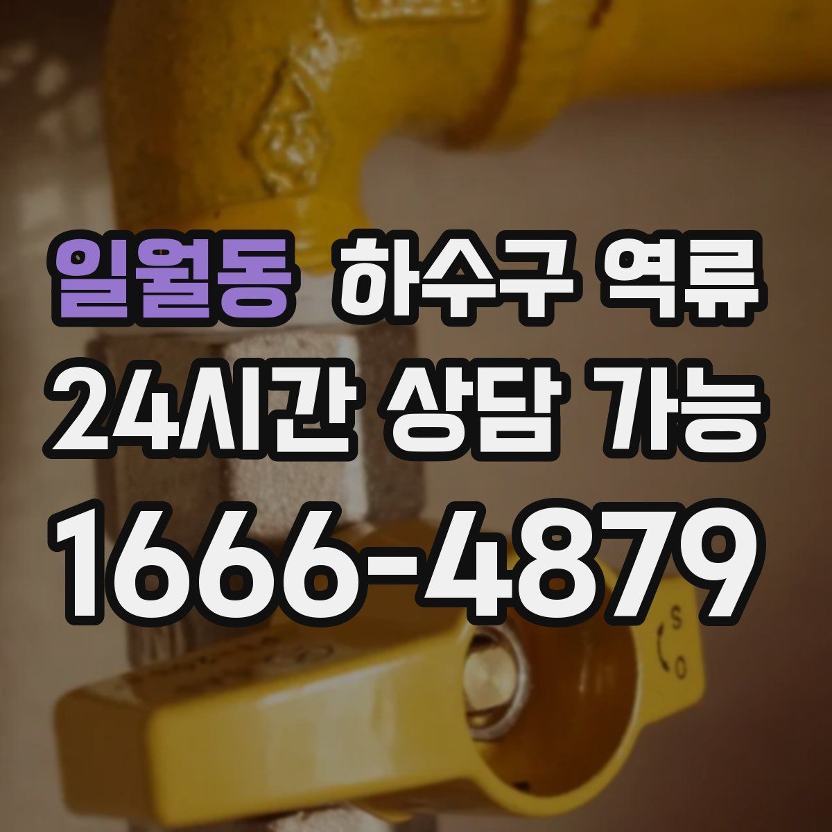 일월동 하수구 역류