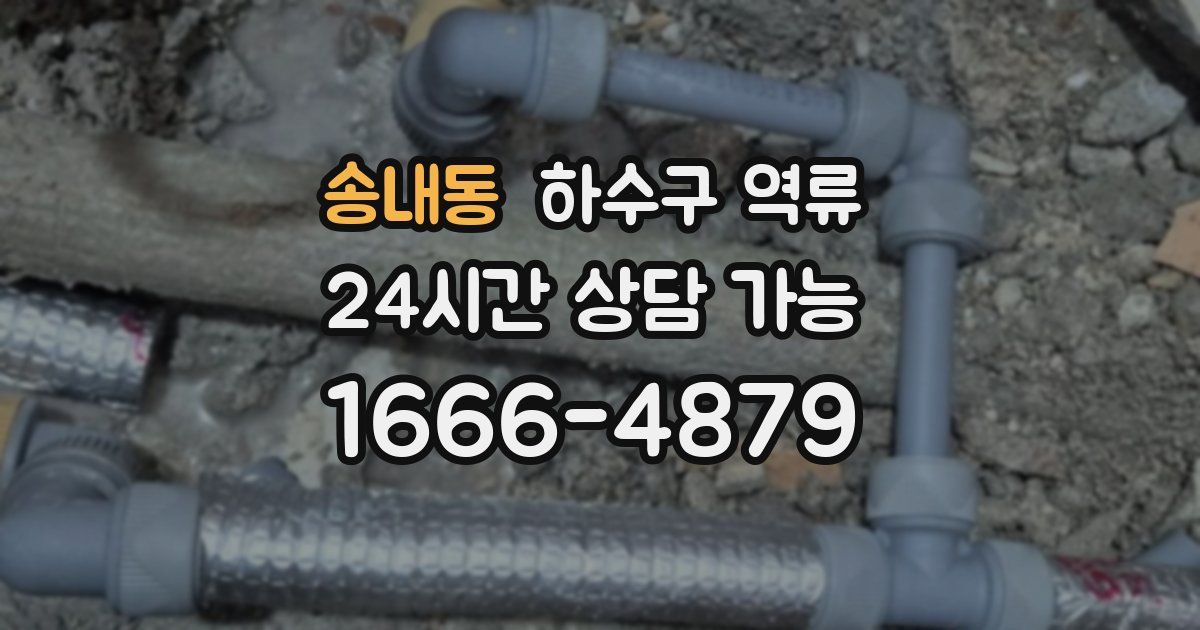 송내동 하수구 역류