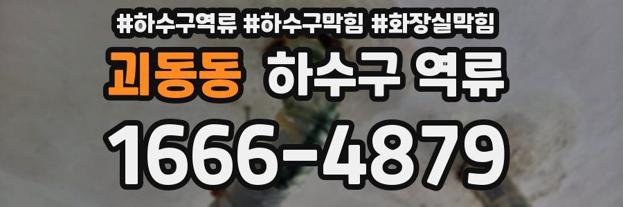 괴동동 하수구 역류