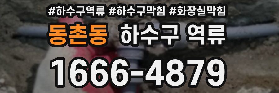 동촌동 하수구 역류