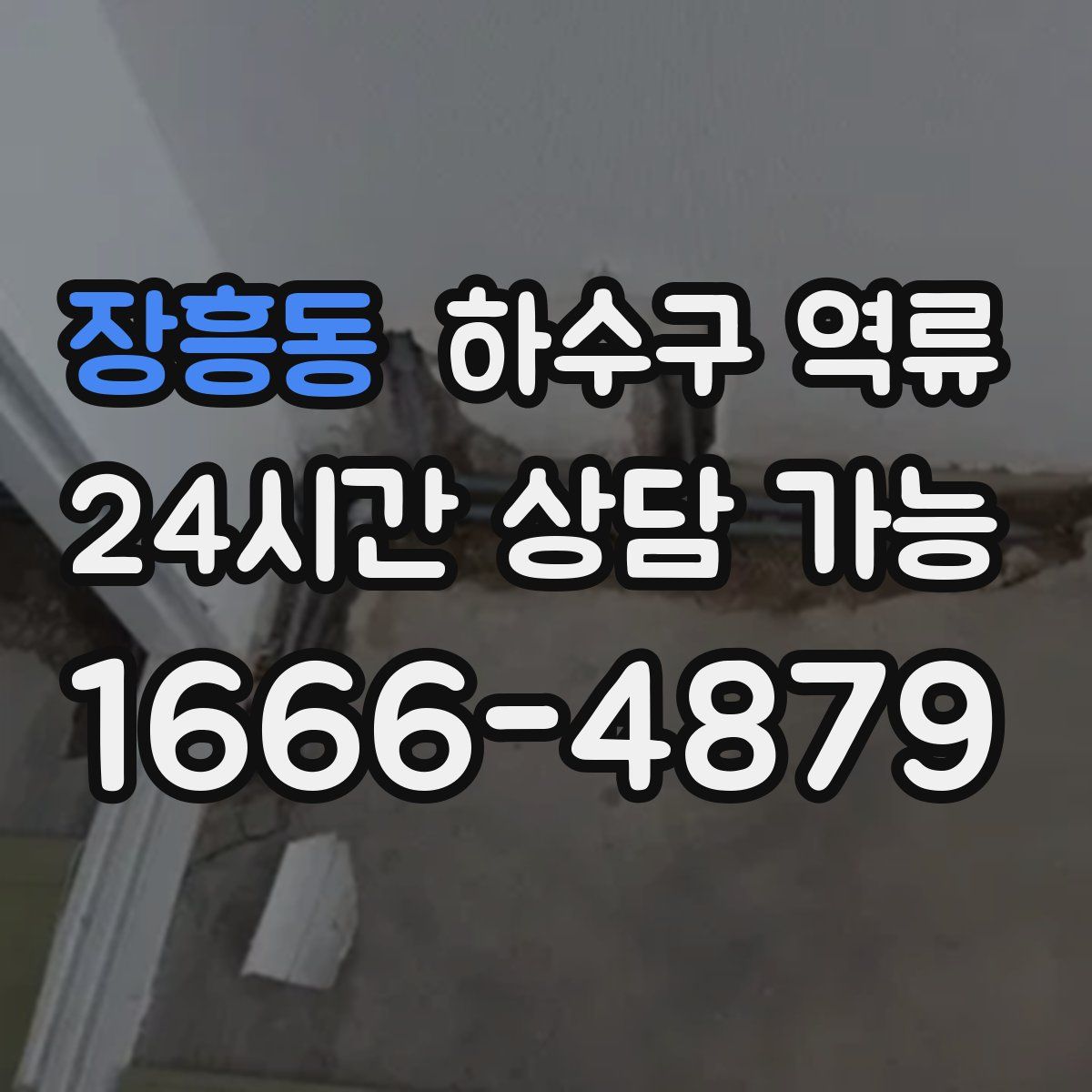 장흥동 하수구 역류