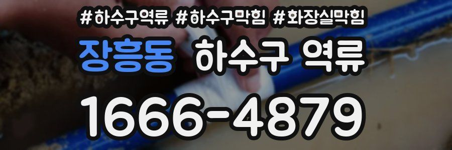 장흥동 하수구 역류