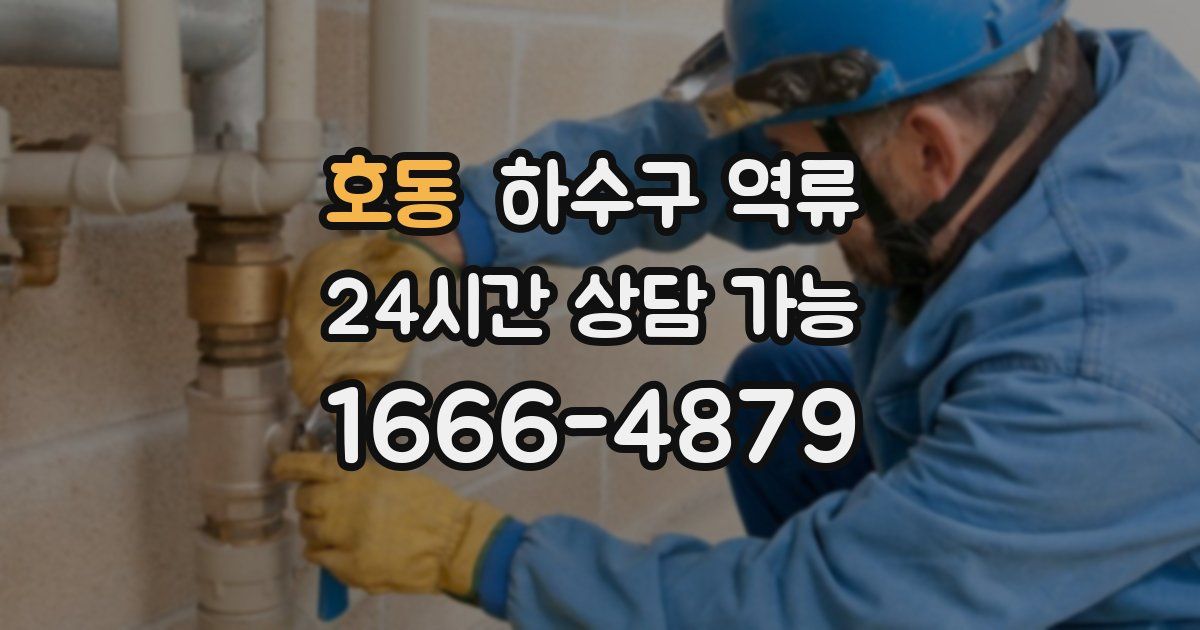 호동 하수구 역류