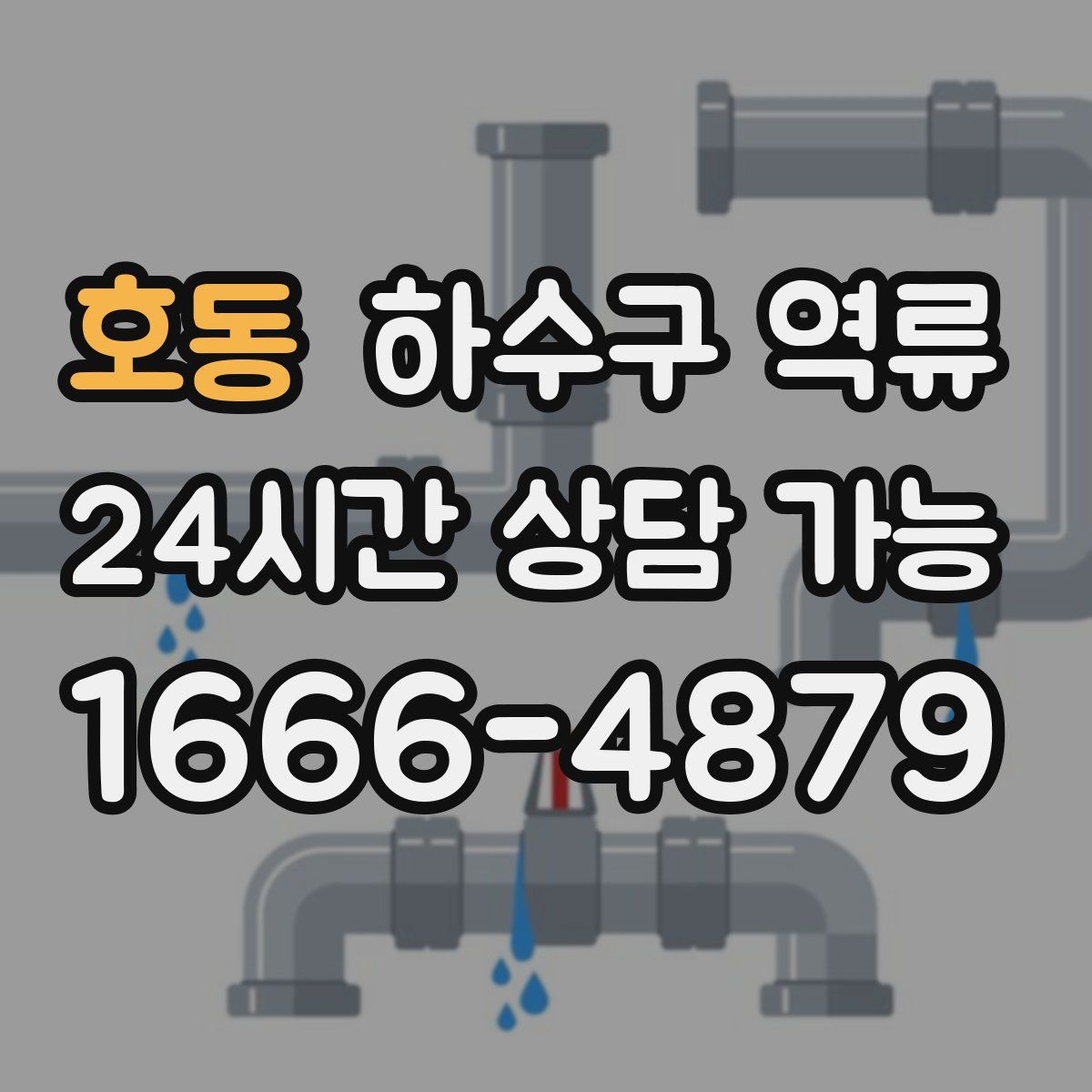 호동 하수구 역류