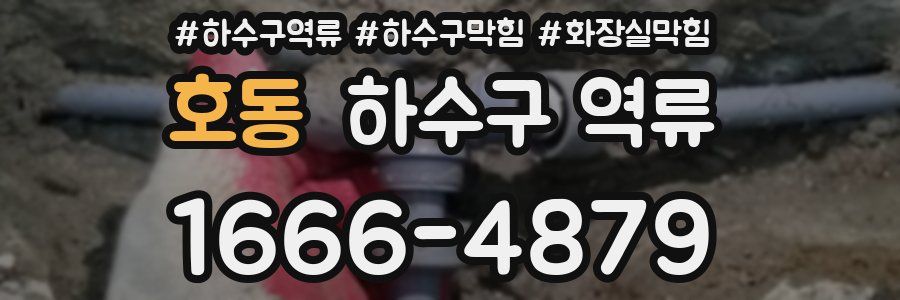 호동 하수구 역류