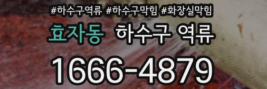 효자동 하수구 역류