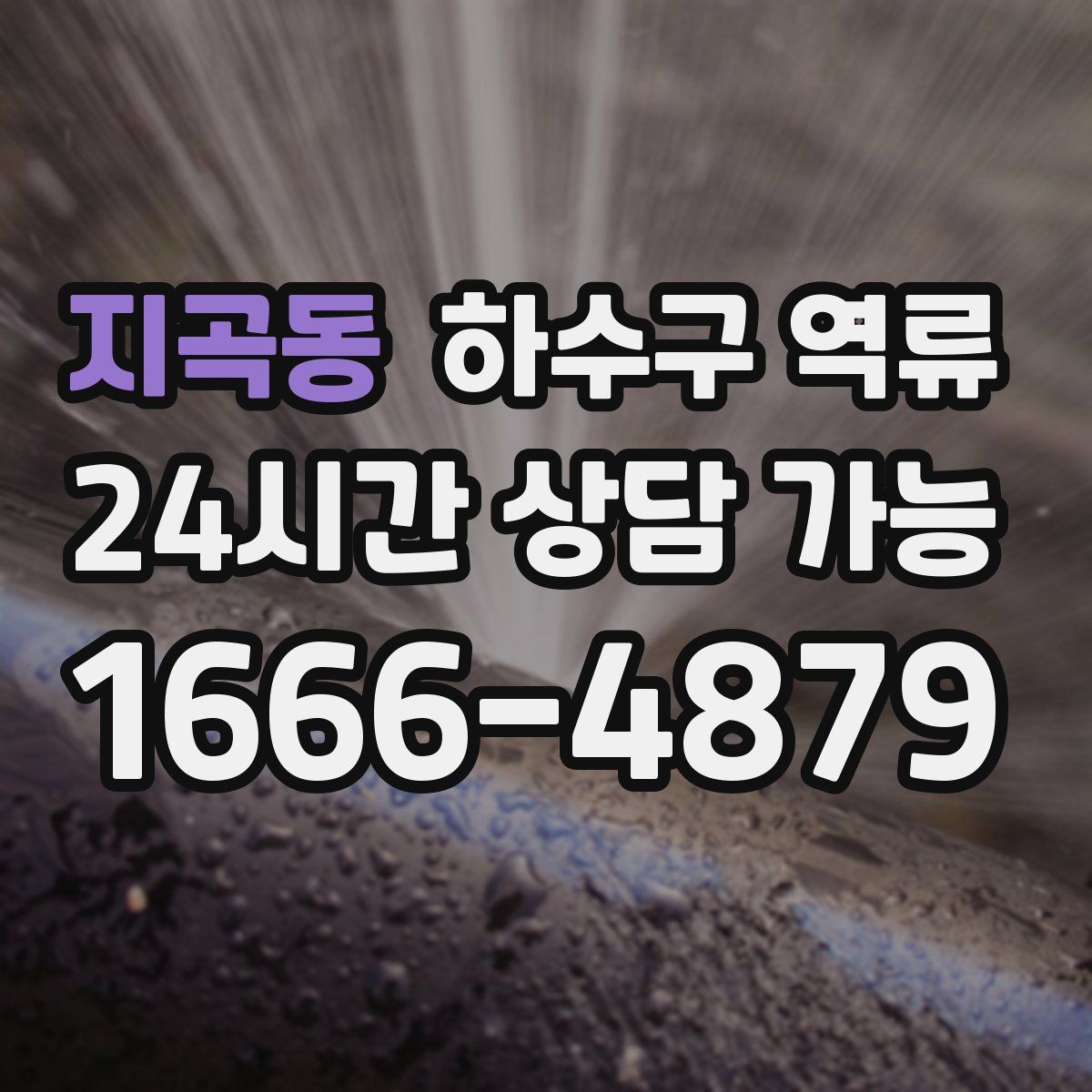 지곡동 하수구 역류