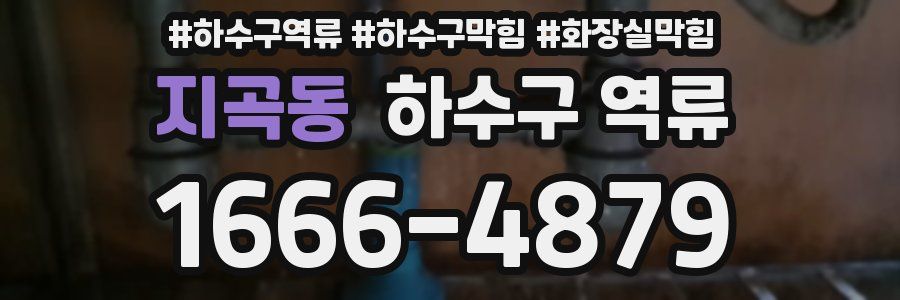 지곡동 하수구 역류