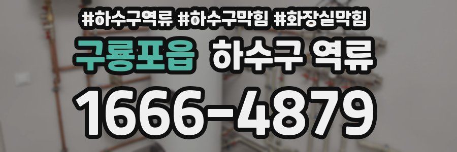 구룡포읍 하수구 역류