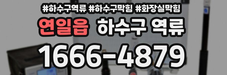 연일읍 하수구 역류