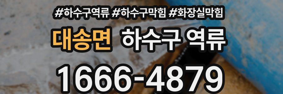 대송면 하수구 역류