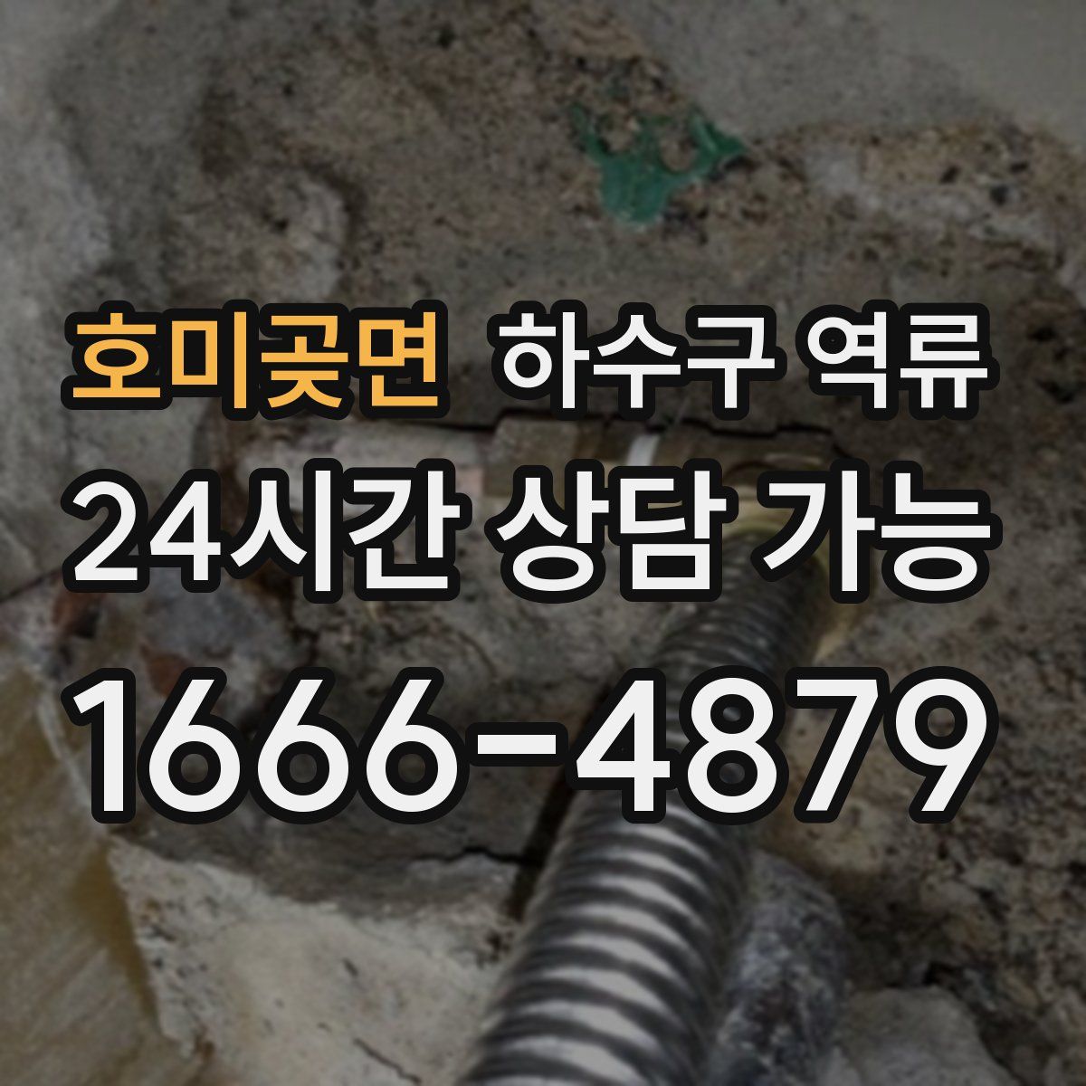 호미곶면 하수구 역류