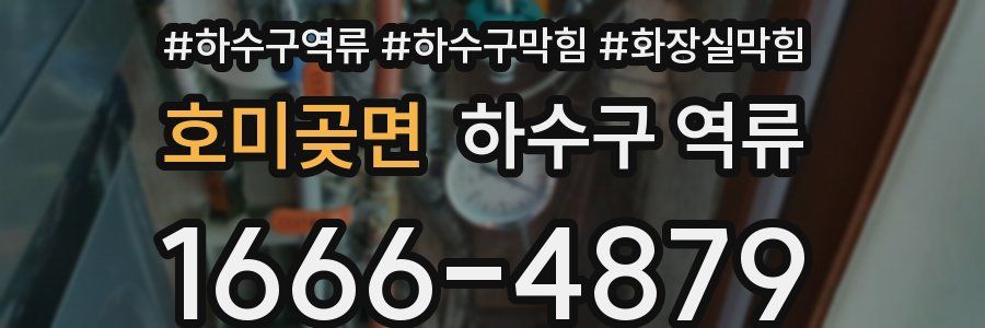 호미곶면 하수구 역류