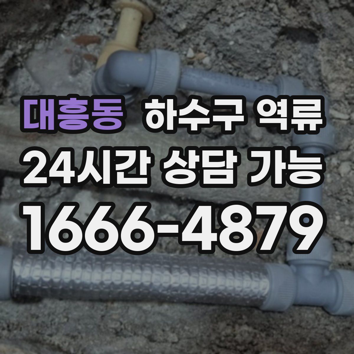 대흥동 하수구 역류