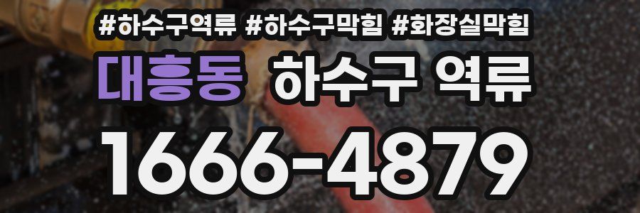 대흥동 하수구 역류