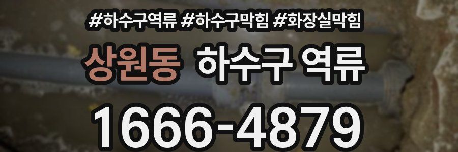 상원동 하수구 역류
