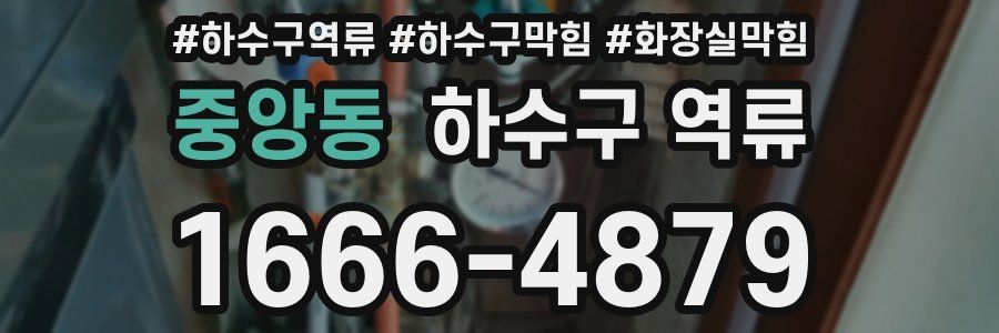 중앙동 하수구 역류