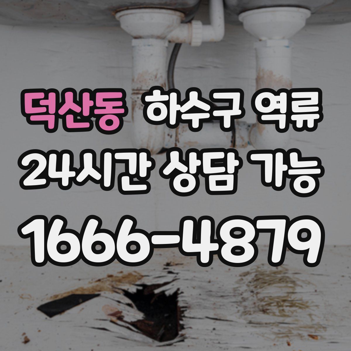 덕산동 하수구 역류