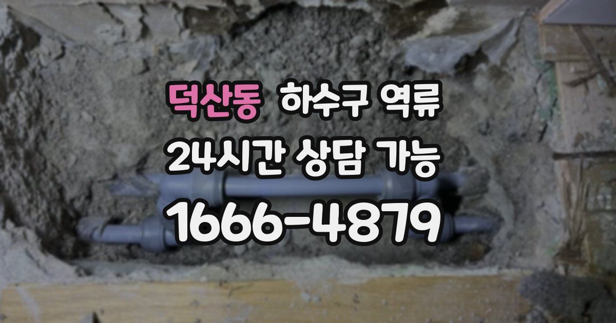 덕산동 하수구 역류