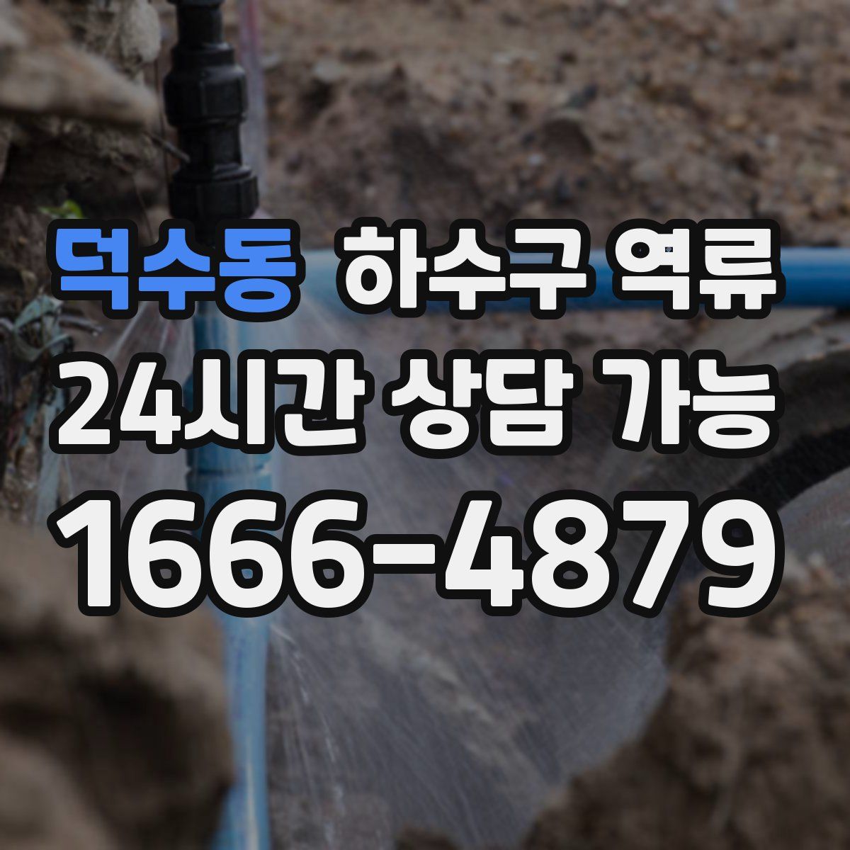 덕수동 하수구 역류