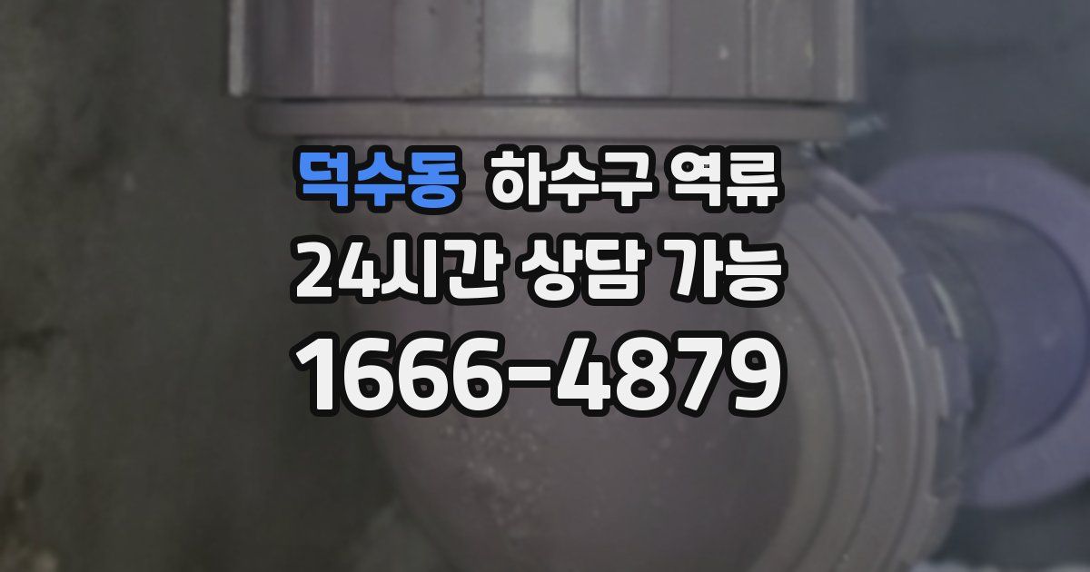 덕수동 하수구 역류